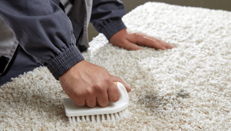 Professional Rug Cleaning Bonshaw
